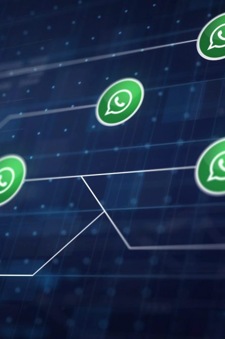 Whatsapp Icon Line Connection of Circuit Board