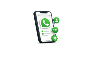 WhatsApp Business API Solutions - setup
